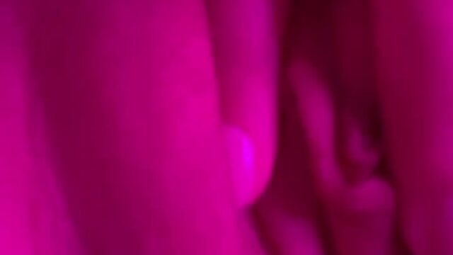 your submissive doll Leaked OF  Full Movie